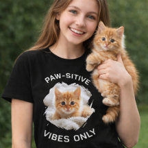 Paw-Sigma-Schwänze nur Katzenschwarz Foto