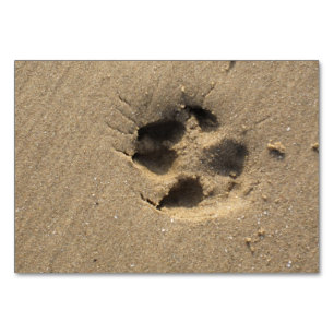 Paw Track Tischnummer