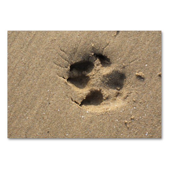 Paw Track Tischnummer (Vorderseite)