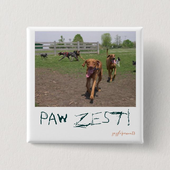Paw zest! button (Vorderseite)