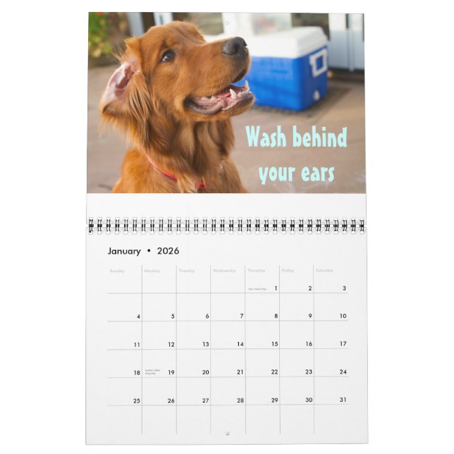 Pawcurious Calendrier 2011 (Jan 2026)