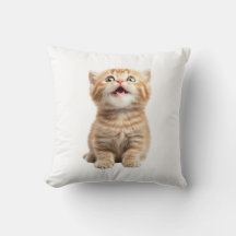 Pawesome Pille - Purfection for Little Explorers!