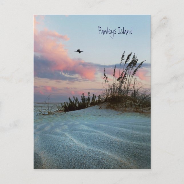Pawley Island Dune Sunset Postcard Postkarte (Vorderseite)