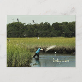 Pawley Island Fishing Postcard Postkarte