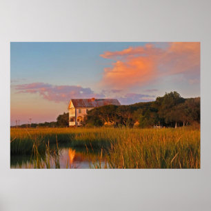 Pawleys Insel-Sumpf-Foto-Plakat Poster