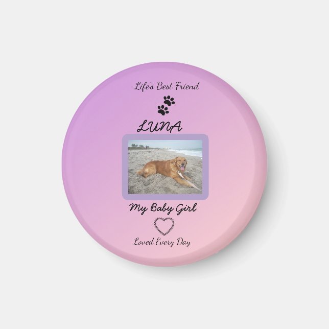 Pawprint Herz Pet Freude Magnet (Vorne)
