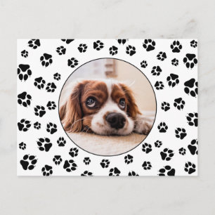 Pawprints Puppy-Foto Postkarte