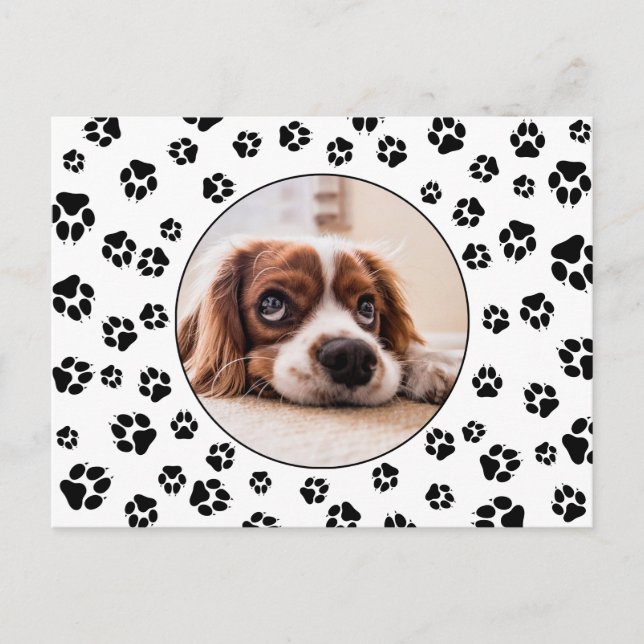 Pawprints Puppy-Foto Postkarte (Vorderseite)