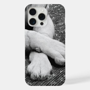 Paws iPhone 15 Pro Max Hülle