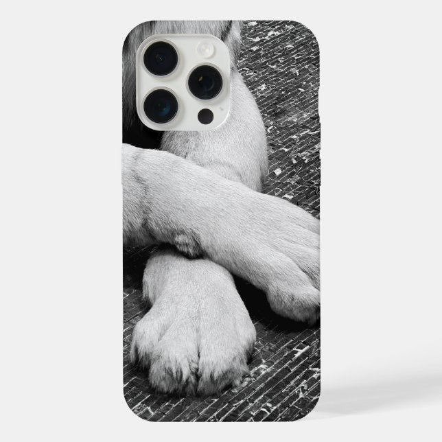 Paws iPhone 15 Pro Max Hülle (Rückseite)