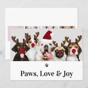 Paws Liebe und Jog Hund Weihnachten 5 Fotokarte Einladung