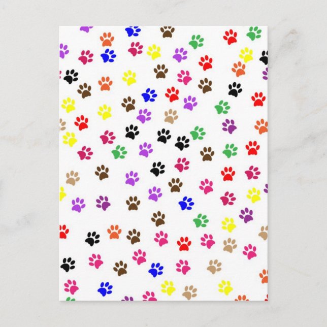 Paws Postkarte (Vorderseite)
