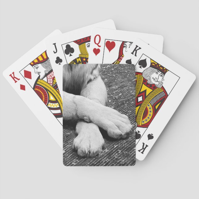 Paws Spielkarten (Rückseite)