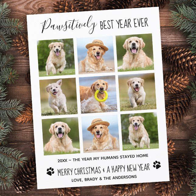 Pawsitiv Bestes Jahr je Hund Haustier Foto Collage Postkarte (Von Creator hochgeladen)