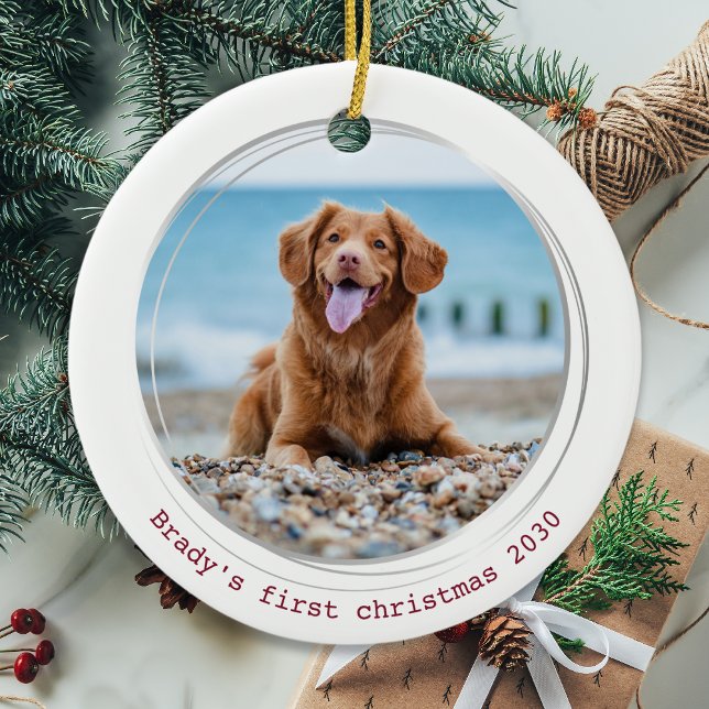 Pawsitiv Covid Quarantine Red Dog Pet Foto Keramik Ornament (Von Creator hochgeladen)