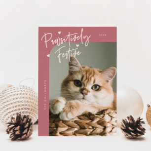 Pawsitiv festes Cat Foto Rosa Weihnachten