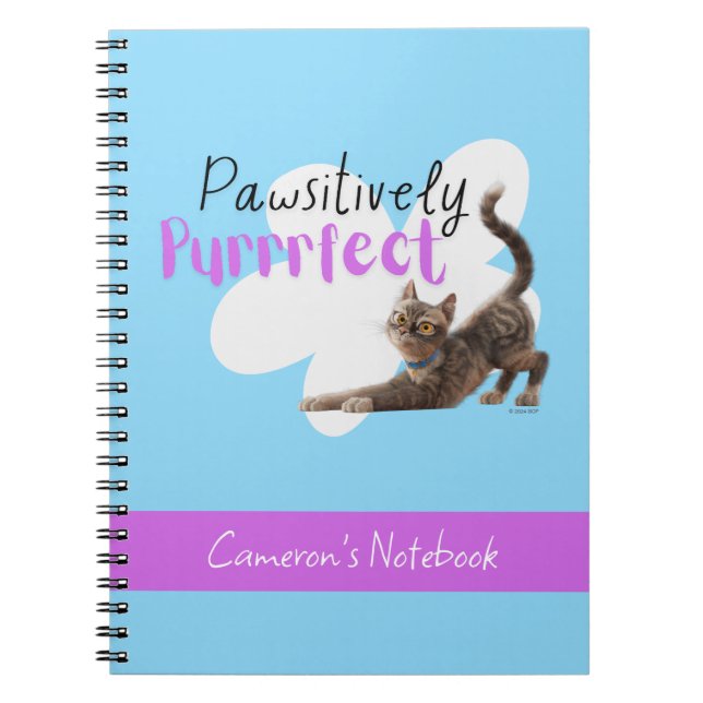 Pawsitiv Purfect Notizblock (Vorderseite)