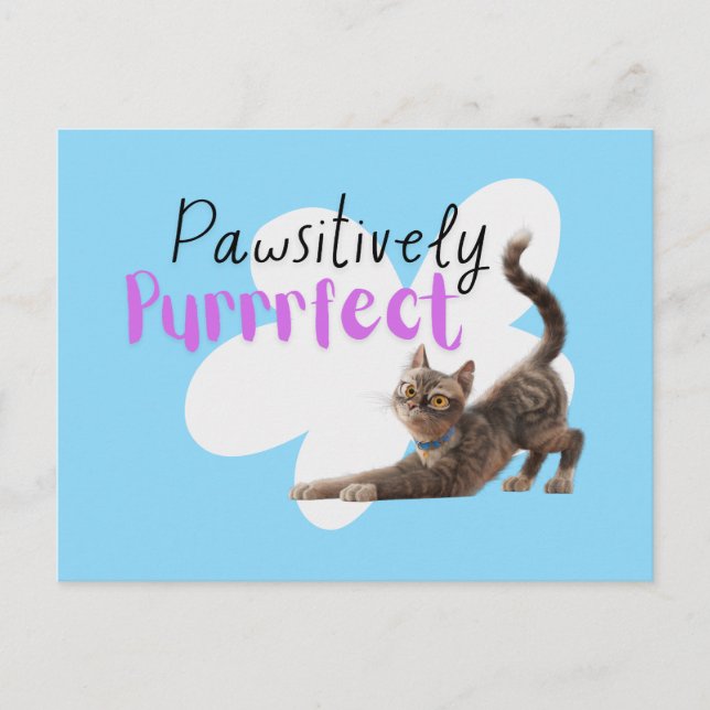 Pawsitiv Purfect Postkarte (Vorderseite)