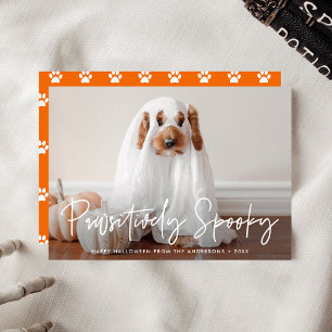 Pawsitiv Spooky Halloween Foto Feiertagskarte