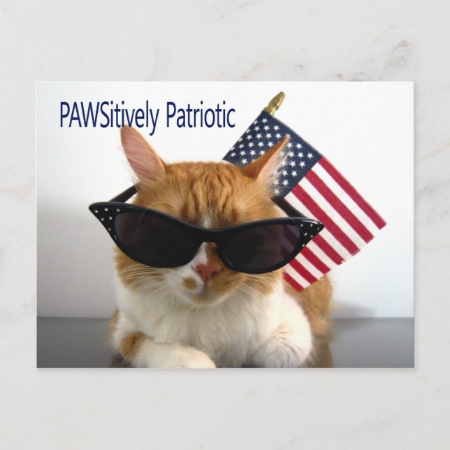 PAWSitively Patriotic Cat Postcard Postkarte (Vorderseite)