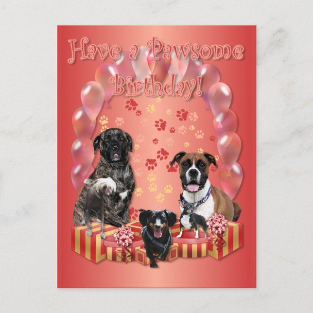 Pawsome Birthday Card Postkarte (Vorderseite)