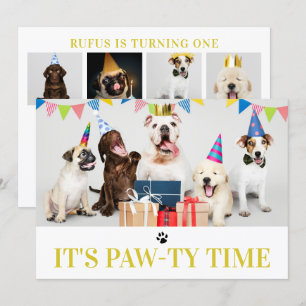 Pawty Time Chien à thème Anniversaire 5 Carte phot