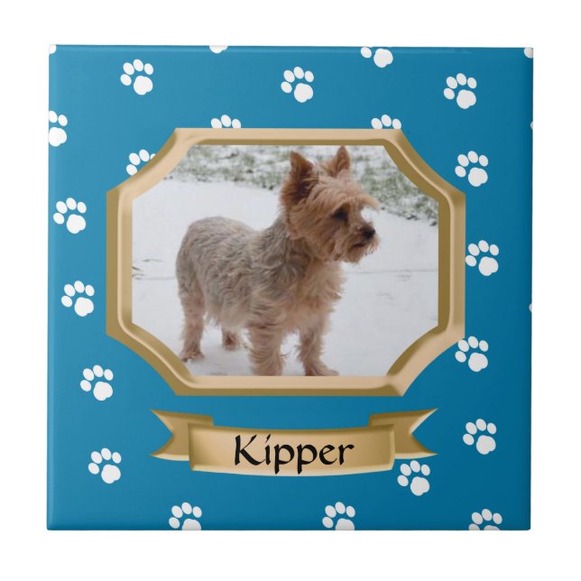 Pay Print Pet Foto Blau Fliese (Vorderseite)