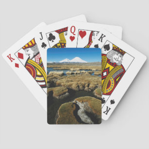 Payachalas Volcanos Spielkarten
