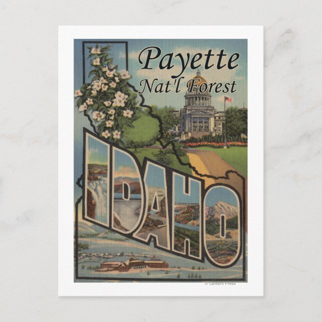 Payette Nat'l Forest, Idaho - Große Briefszene Postkarte (Vorderseite)