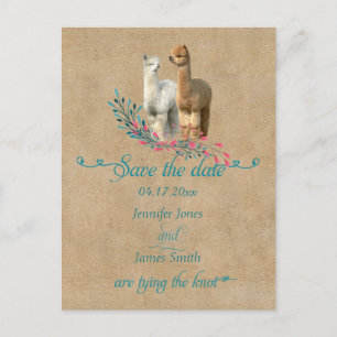 Pays Alpaca Enregistrer la date Cartes postales