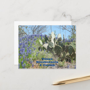 Pays de carte postale Texas Bluebonnets et Cactus