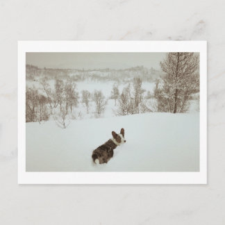 Pays des merveilles d'hiver Carte de vœux de vacan