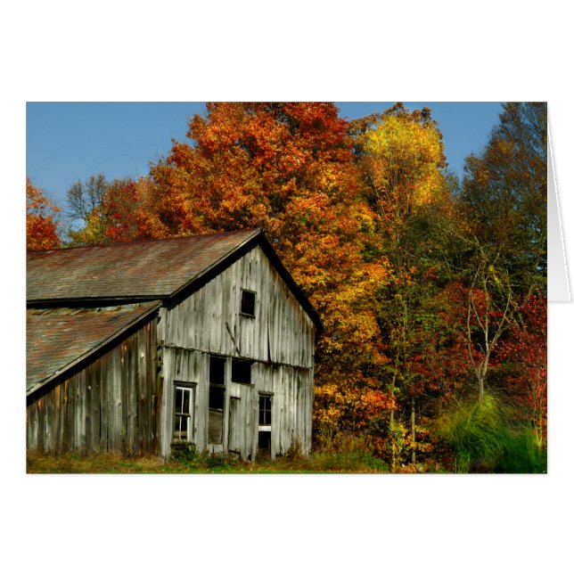 Pays simple (Devant horizontal)