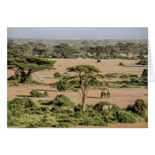 Paysage africain avec éléphant