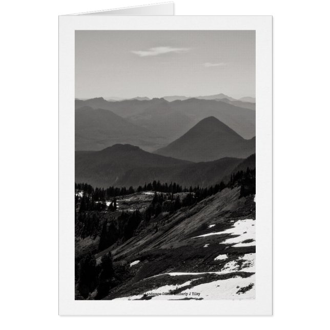 Paysage aménagé (Devant)