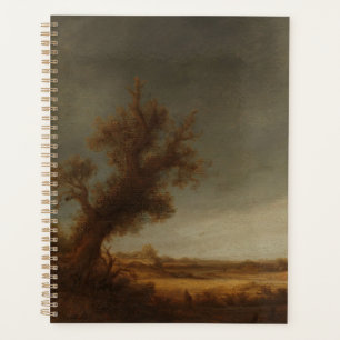 Paysage avec un vieux chêne, Adriaen van Ostade, C