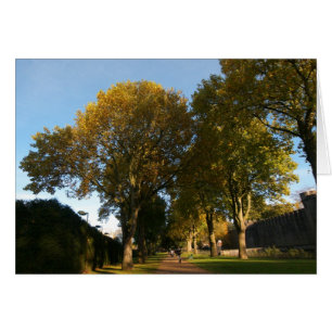 Paysage d'automne, Bute Park, Cardiff