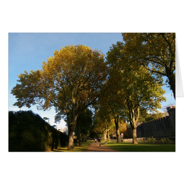 Paysage d'automne, Bute Park, Cardiff (Devant horizontal)