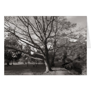 Paysage d'automne, Bute Park, Cardiff