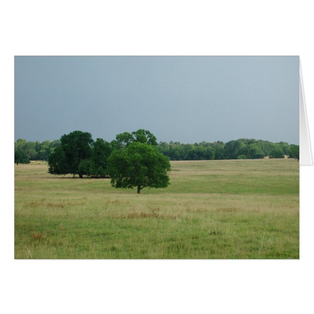 Paysage de l'Alabama (Devant horizontal)