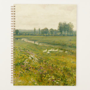 Paysage de prairie étendu avec oies