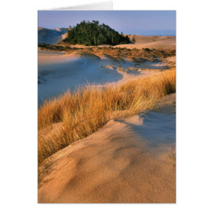 Paysage des dunes de sable de l'Oregon