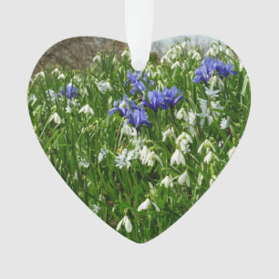 Paysage des fleurs du début du printemps