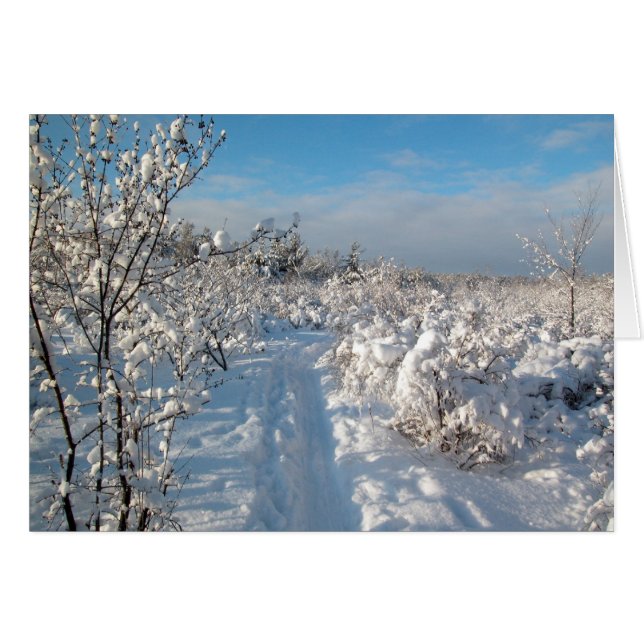 Paysage d'hiver (Devant horizontal)