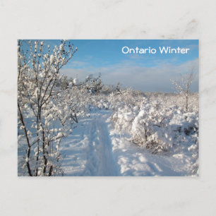 Paysage d'hiver - Carte postale