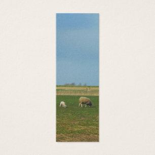 Paysage du mouton et de l'agneau Photo Signet Cade