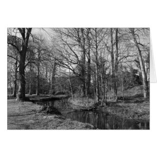 Paysage du parc - Bute Park, Cardiff