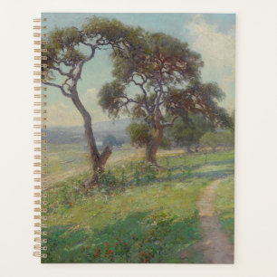 Paysage du Texas Hill Country, Onderdonk