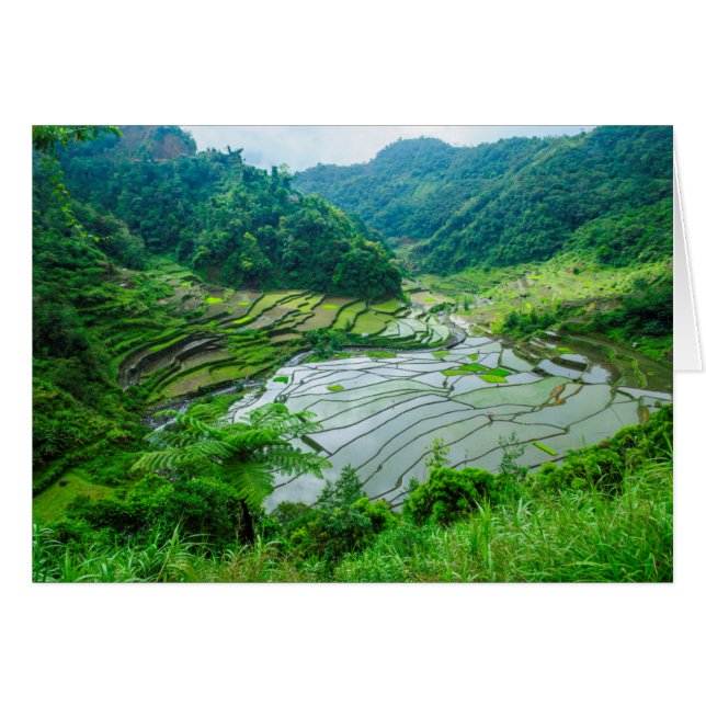 Paysage en terrasse sur le riz, Philippines (Devant horizontal)