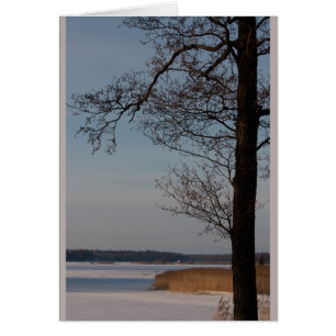 Paysage hivernal avec arbre CC0370